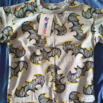 Футболка DANKIDS: отзыв пользователя Детский Мир