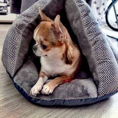 Фото отзыва 10139334