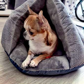 Тоннель-лежанка для животных Не один дома Оксфорд S 860119-02GR1de: отзыв пользователя. Зоомагазин Зоозавр