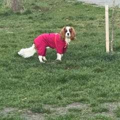 Фото отзыва 10744751