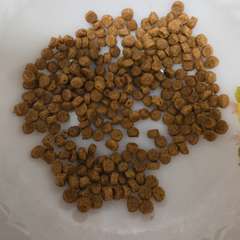 Фото отзыва 10978293