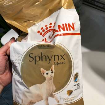 Корм сухой для кошек ROYAL CANIN Sphynx 2кг породы сфинк: отзыв пользователя. Зоомагазин Зоозавр