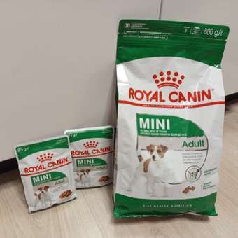Корм для собак ROYAL CANIN мелких пород 800г: отзыв пользователя. Зоомагазин Зоозавр