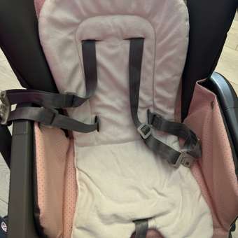 Стульчик для кормления Rant Cafe, grey+pink розовый: отзыв пользователя Детский Мир