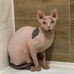 Фото отзыва 10561793