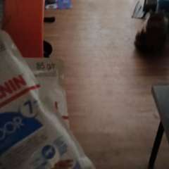 Видео отзыва 10761882