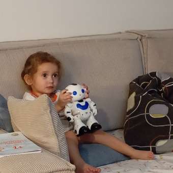 Робот РУ ТОТОША на пульте управления танцующий в ассортименте: отзыв пользователя Детский Мир