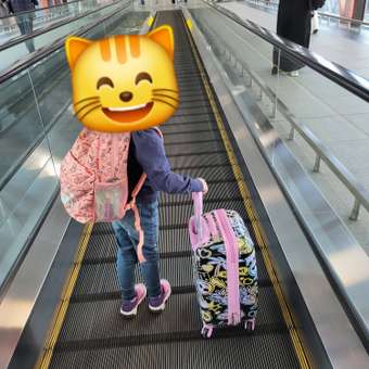 Чемодан Erhaft Патчи: отзыв пользователя Детский Мир