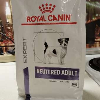 Корм для собак ROYAL CANIN Ньютрид Эдалт Смол Догз 0.8кг: отзыв пользователя. Зоомагазин Зоозавр
