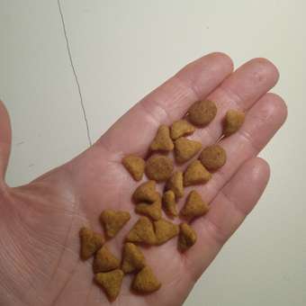 Корм сухой для кошек ROYAL CANIN Exigent Savour 400г привередливых к вкусу продукта: отзыв пользователя. Зоомагазин Зоозавр