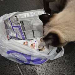 Фото отзыва 10605037