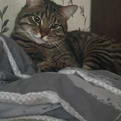 Фото отзыва 10556341