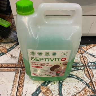 Средство для мытья посуды SEPTIVIT Маракуйя 5000 мл: отзыв пользователя Детский Мир