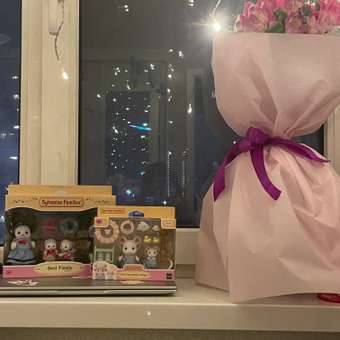 Игровой набор Sylvanian Families: отзыв пользователя Детский Мир