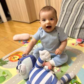 Мягкая игрушка Мульти Пульти Кот Матроскин: отзыв пользователя Детский Мир