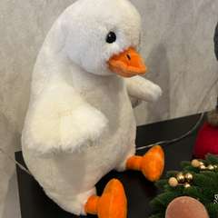 Фото отзыва 10854087