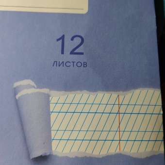 Тетрадь Listoff косая линейка 12 лист. в ассортименте: отзыв пользователя Детский Мир