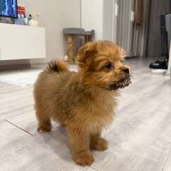 Фото отзыва 10885078