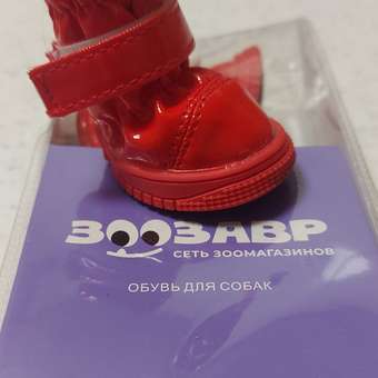 Ботинки для собак Зоозавр 4 шт: отзыв пользователя. Зоомагазин Зоозавр