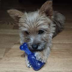 Фото отзыва 8760822