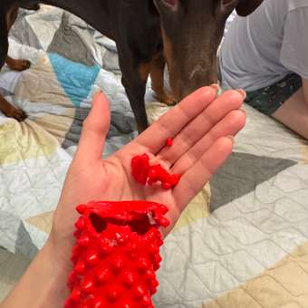 Игрушка для собак Barbaks Палка массажная из ТПР с пищалкой 17*5см красная: отзыв пользователя. Зоомагазин Зоозавр