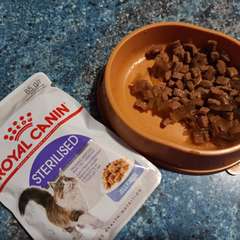 Фото отзыва 10665576