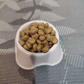 Корм для собак ROYAL CANIN породы чихуахуа 500г: отзыв пользователя. Зоомагазин Зоозавр