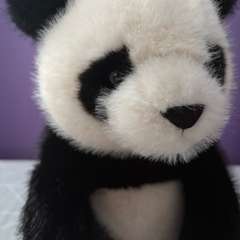 Фото отзыва 10955353