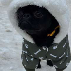 Фото отзыва 10948130