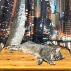 Фото отзыва 10721212