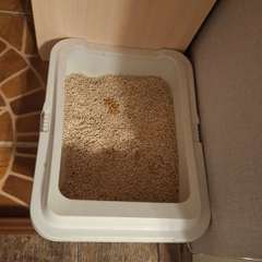 Фото отзыва 10964618