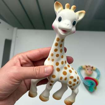 Прорезыватель Sophie la girafe Подарочный: отзыв пользователя Детский Мир