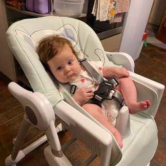 Стульчик для кормления Babyton Multiset Mint классический: отзыв пользователя Детский Мир