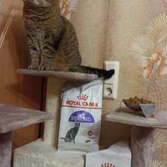 Фото отзыва 10759440