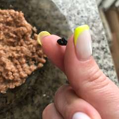 Фото отзыва 3952196