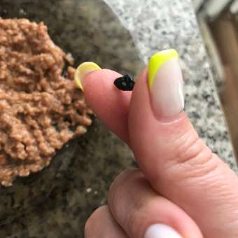 Корм влажный для кошек Четвероногий Гурман 190г мясное ассорти с перепелкой: отзыв пользователя. Зоомагазин Зоозавр