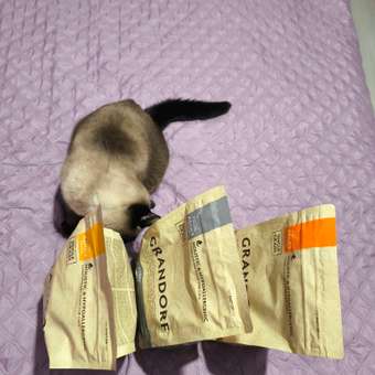 Корм для кошек Grandorf 2кг для стерилизованных индейка: отзыв пользователя. Зоомагазин Зоозавр