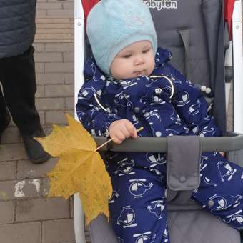 Коляска прогулочная Babyton Active Red: отзыв пользователя Детский Мир