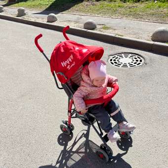 Коляска прогулочная Babyton Zoo Red: отзыв пользователя ДетМир