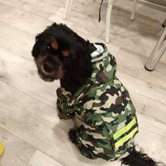 Фото отзыва 10703995