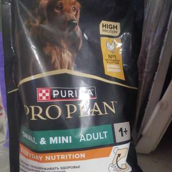 Корм для собак PRO PLAN мелких и карликовых пород с комплексом Optibalance курица с рисом 700г: отзыв пользователя. Зоомагазин Зоозавр