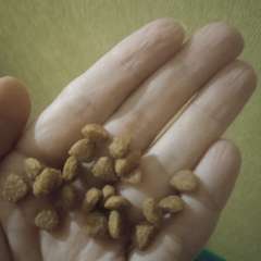 Фото отзыва 10654666