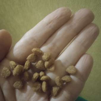 Корм для собак ROYAL CANIN Gastrointestinal low fat мелких пород 3кг: отзыв пользователя. Зоомагазин Зоозавр