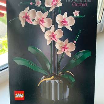 Конструктор LEGO Botanicals Orchid 608 дет.: отзыв пользователя Детский Мир