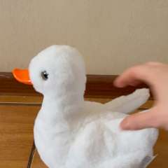 Видео отзыва 11046766