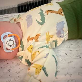 Пустышка Philips Avent силикон от 0 мес. 2 шт.: отзыв пользователя ДетМир