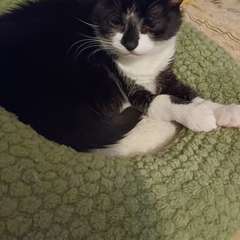 Фото отзыва 11040973