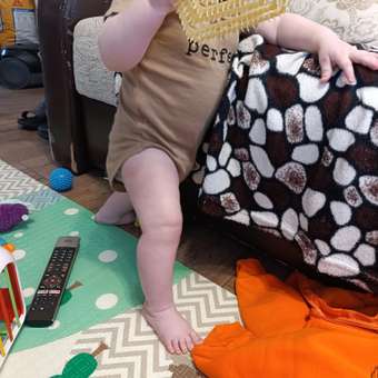 Боди 3 шт Carrot: отзыв пользователя Детский Мир