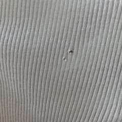 Фото отзыва 11213829