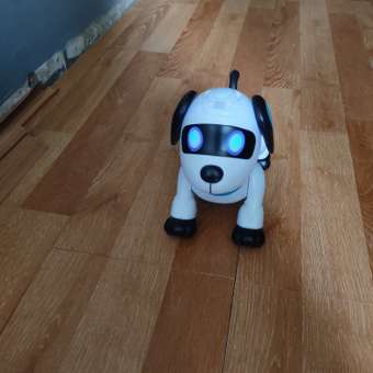 Собака РУ Mobicaro Собака: отзыв пользователя Детский Мир